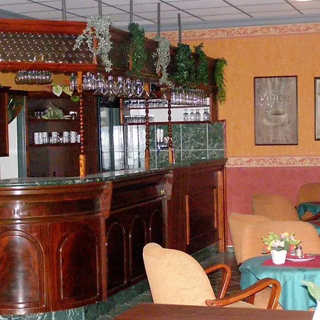 Goethe Aš