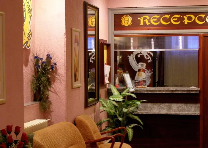Hotell Goethe Aš