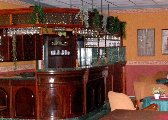 Goethe Aš